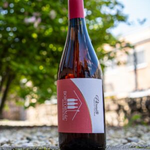 Molnár Péter ׀ Párosító Cabernet Franc Rosé