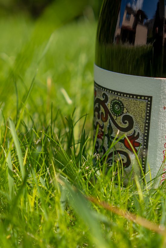 Molnár Péter ׀ Cabernet Franc