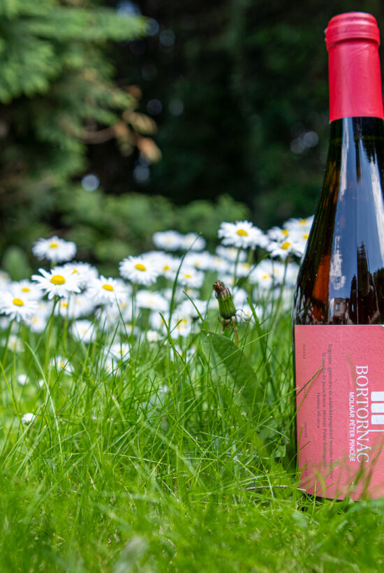 Molnár Péter ׀ Párosító Cabernet Franc Rosé