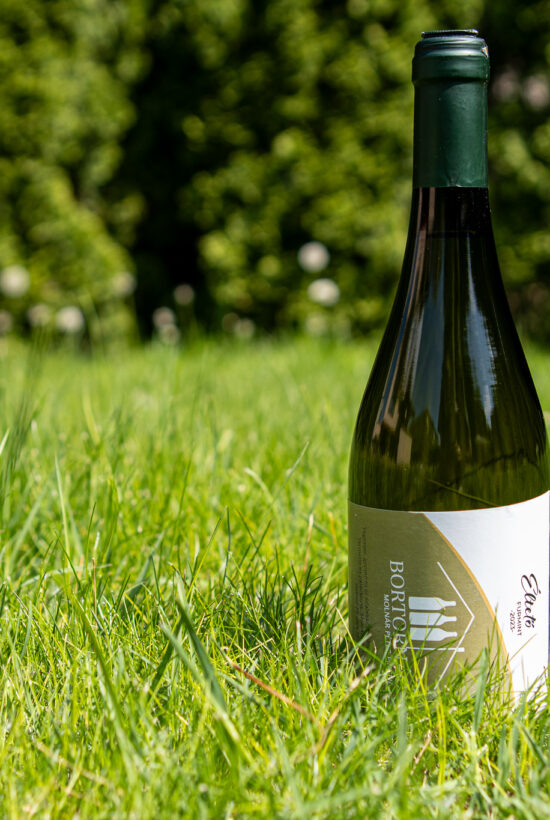 Molnár Péter ׀ Éltető furmint 2023