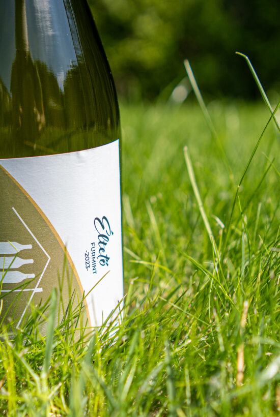Molnár Péter ׀ Éltető furmint 2023