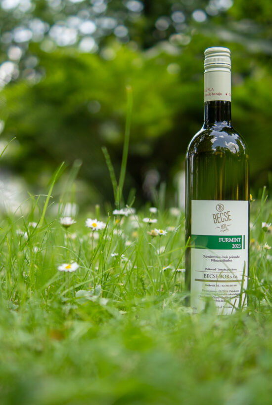 BecseBor ׀ Furmint 2023