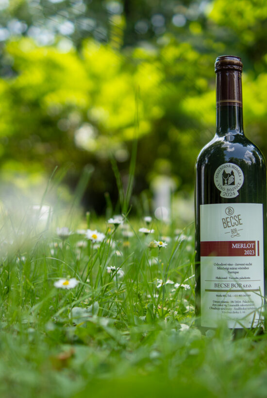 BecseBor ׀ Merlot 2023