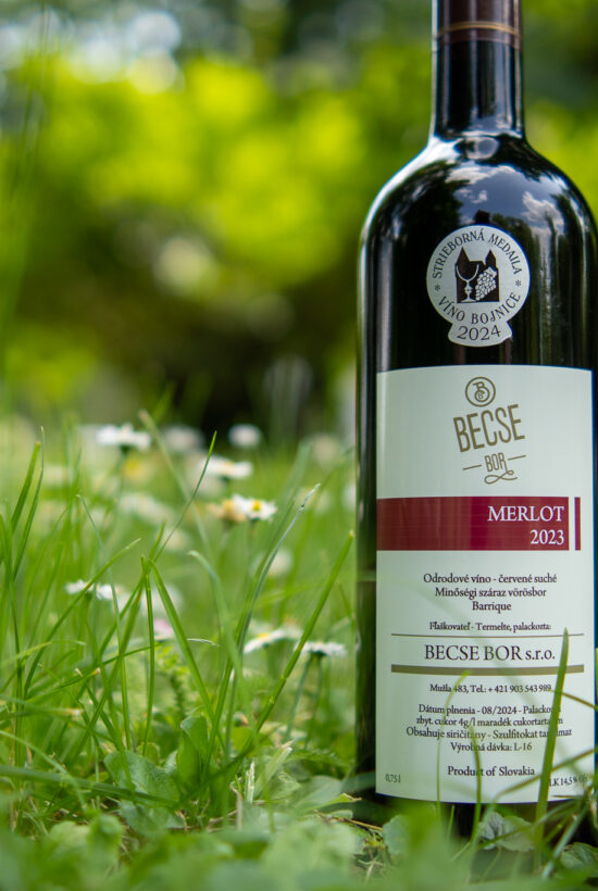 BecseBor ׀ Merlot 2023