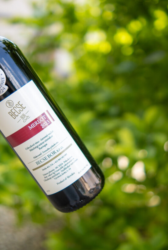 BecseBor ׀ Merlot 2023