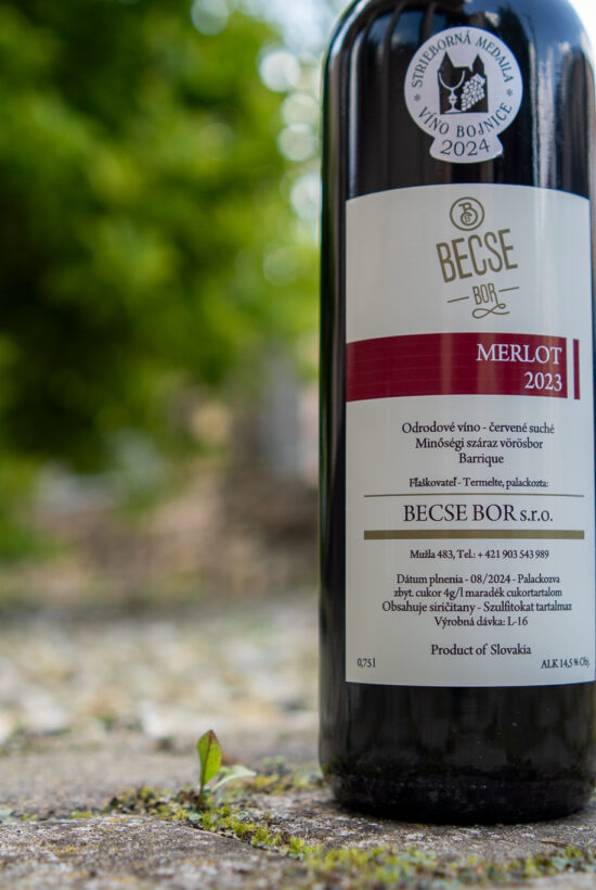 BecseBor ׀ Merlot 2023
