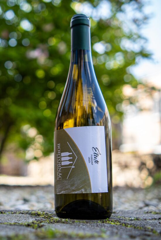 Molnár Péter ׀ Éltető furmint 2023