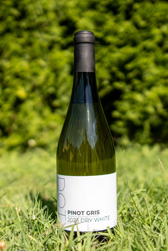 DOTWine ׀ Pinot Gris – Rulandské šedé 2023