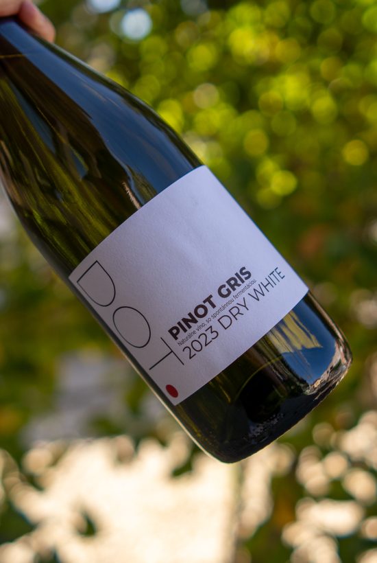 DOTWine ׀ Pinot Gris – Rulandské šedé 2023