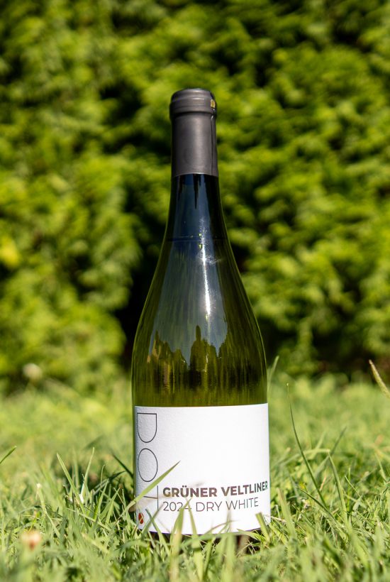 DOTWine ׀ Grüner Veltliner 2024