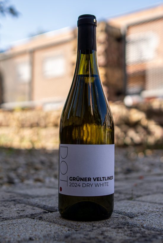DOTWine ׀ Grüner Veltliner 2024