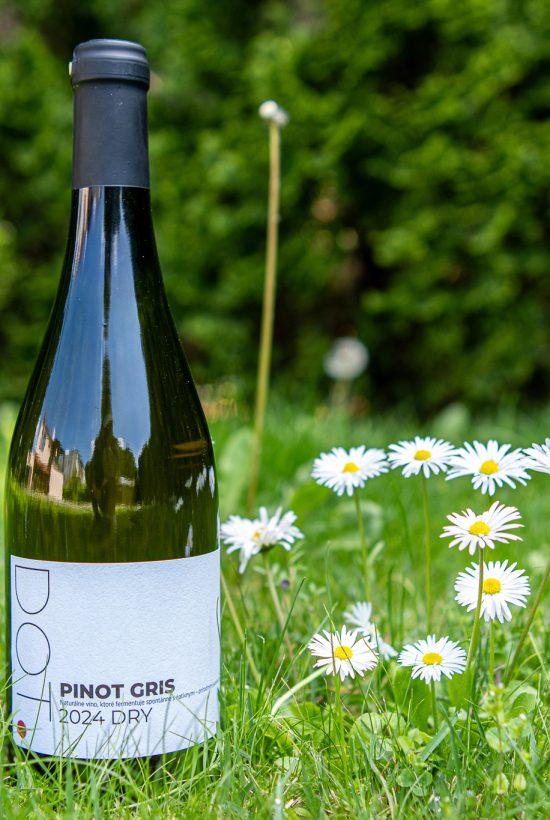 DOTWine ׀ Pinot Gris – Rulandské šedé 2024