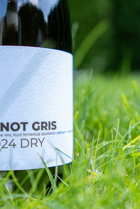 DOTWine ׀ Pinot Gris – Rulandské šedé 2024