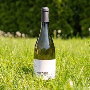 DOTWine ׀ Pinot Gris – Rulandské šedé 2024