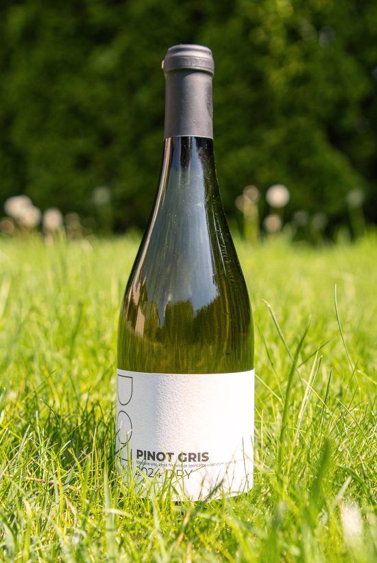 DOTWine ׀ Pinot Gris – Rulandské šedé 2024