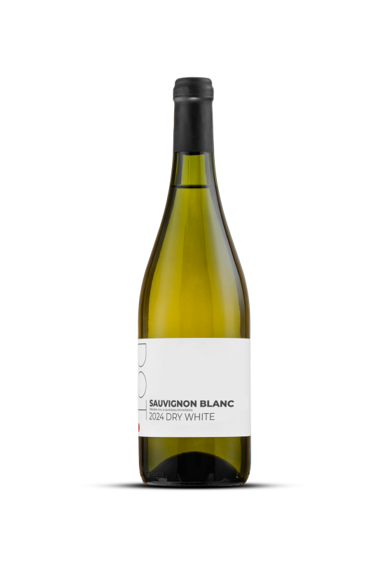 DOTWine ׀ Sauvignon Blanc 2024